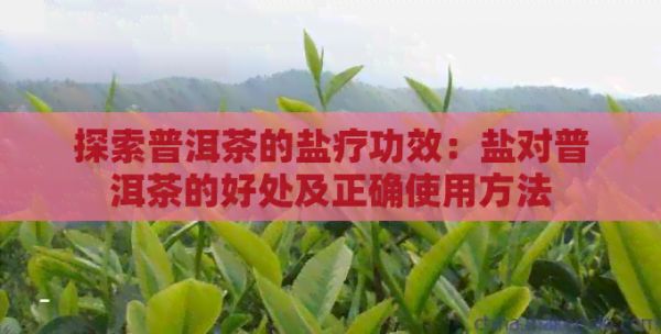 探索普洱茶的鹽療功效：鹽對普洱茶的好處及正確使用方法