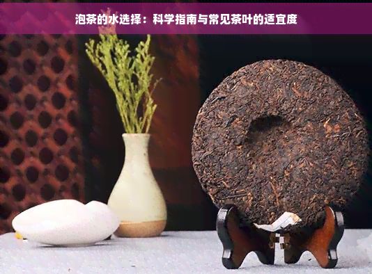 泡茶的水选择:科学指南与常见茶叶的适宜度
