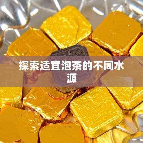 探索适宜泡茶的不同水源
