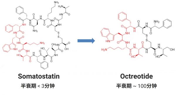 生长激素抑制素修饰成为奥曲肽（红色为药效基团）