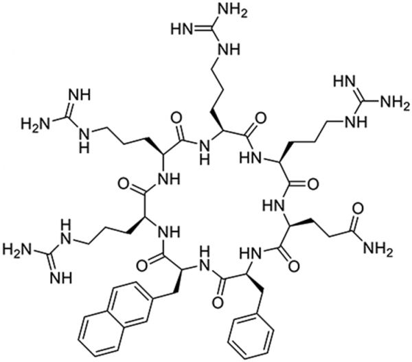 细胞穿透肽1（CPP1）