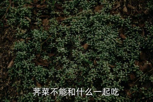 荠菜不能和什么一起吃