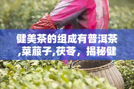 健美茶的組成有普洱茶,菜菔子,茯苓，揭秘健美茶的神秘配方：普洱茶、菜菔子和茯苓的完美組合！