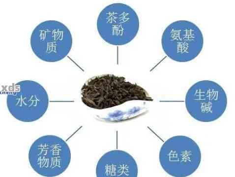 普洱茶的成分分析：无添加剂的健茶饮还是有其他添加物？