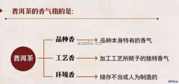 普洱茶的添加物：種類、功能及可能的影響