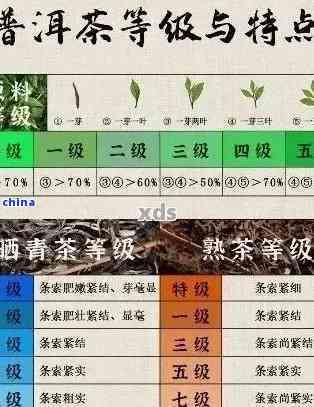 普洱茶的添加物：種類、功能及可能的影響