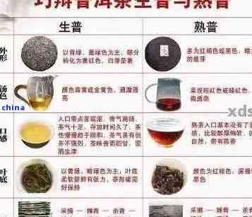 普洱茶的添加物：種類、功能及可能的影響