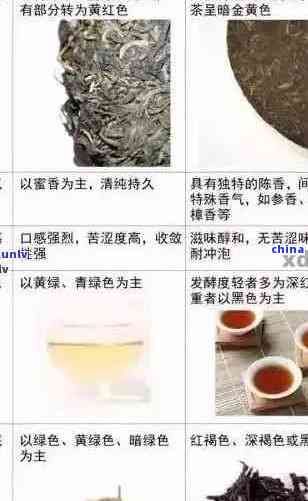 普洱茶的添加物：種類、功能及可能的影響