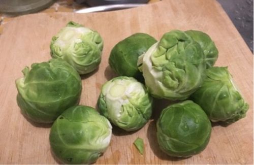 芽甘蓝