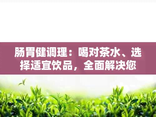 肠胃健调理：喝对茶水、选择适宜饮品，全面解决您的肠胃问题