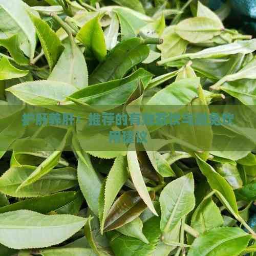 護(hù)肝養(yǎng)肝：推薦的有效茶飲與避免飲用建議