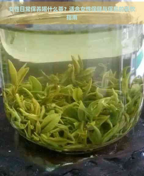 女性日常保養(yǎng)喝什么茶？適合女性保健與保養(yǎng)的茶飲指南