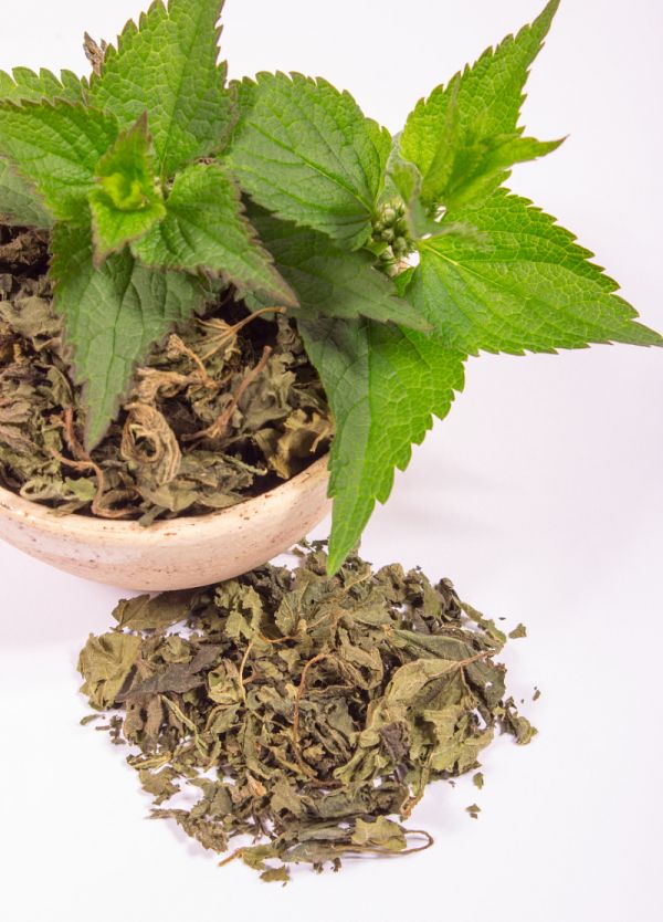 保养肺部喝什么茶?15款茶饮帮助您呼吸更加畅通