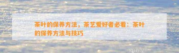 茶葉的保養(yǎng) ，茶藝愛好者必看：茶葉的保養(yǎng) 與技巧
