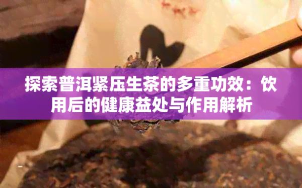 探索普洱緊壓生茶的多重功效：飲用后的健康益處與作用解析