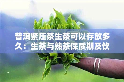 普洱緊壓茶生茶可以存放多久：生茶與熟茶保質(zhì)期及飲用方法解析