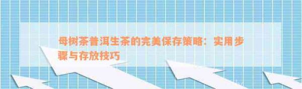 母樹茶普洱生茶的完美保存策略：實用步驟與存放技巧