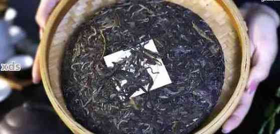 母樹茶普洱生茶的完美保存策略：實用步驟與存放技巧