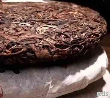 母樹茶普洱生茶的完美保存策略：實用步驟與存放技巧