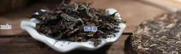 母樹茶普洱生茶的完美保存策略：實用步驟與存放技巧