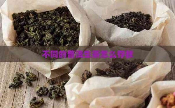 不同的普洱生茶怎么存放