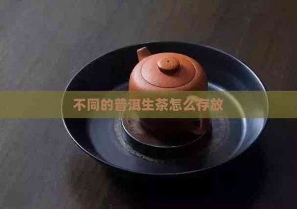 不同的普洱生茶怎么存放