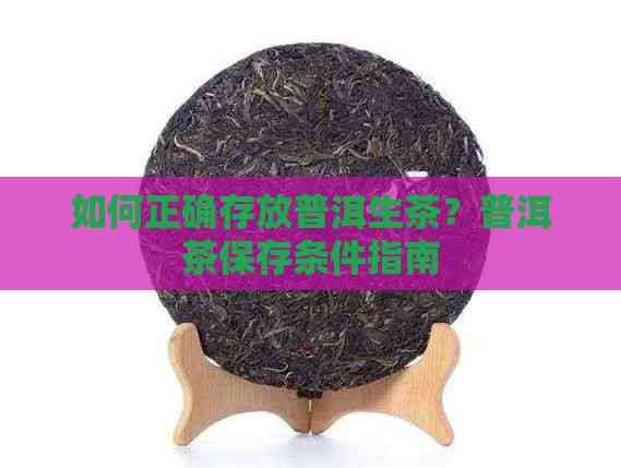 如何正確存放普洱生茶？普洱茶保存條件指南