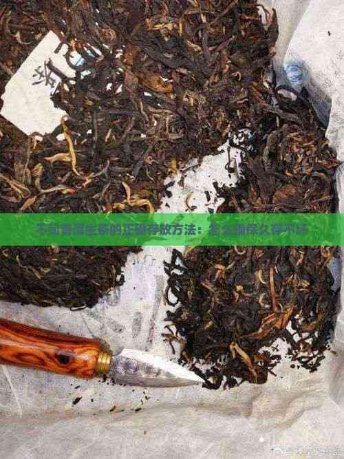 不同普洱生茶的正確存放方法：怎么確保久存不壞