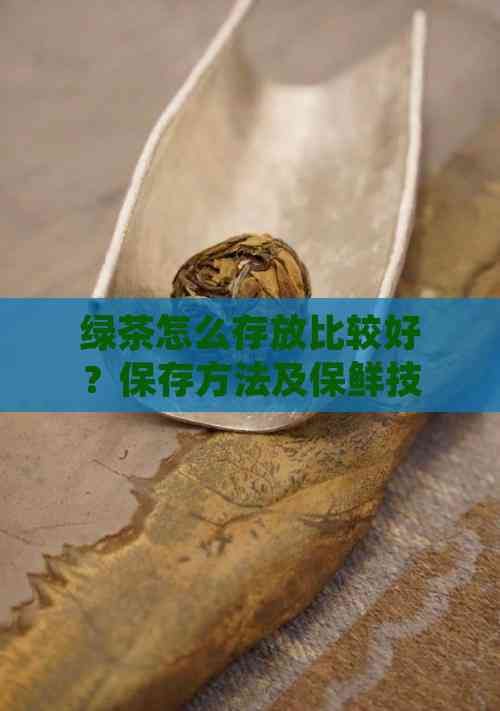 绿茶怎么存放比较好？保存方法及保鲜技巧