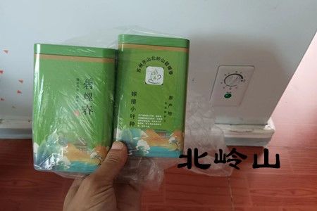 碧螺春冰凍保存圖片