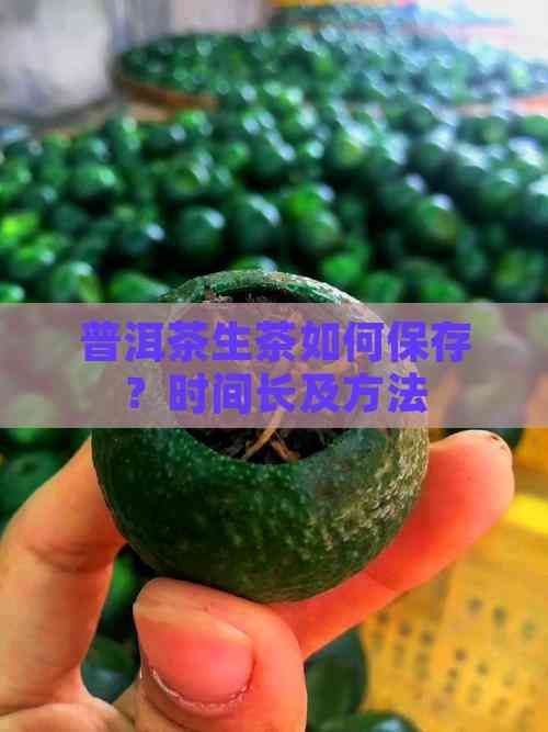 普洱茶生茶如何保存？時(shí)間長及方法