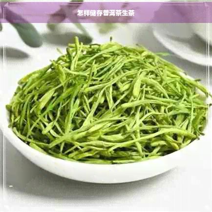 怎样储存普洱茶生茶