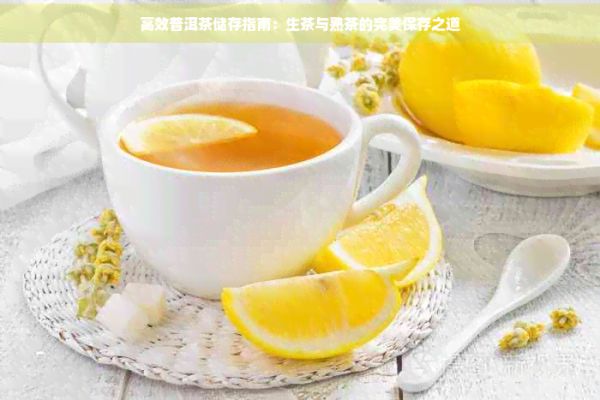 高效普洱茶储存指南：生茶与熟茶的完美保存之道