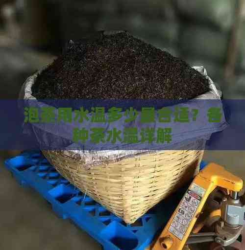 泡茶用水溫多少最合適？各種茶水溫詳解