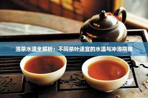 泡茶水溫全解析：不同茶葉適宜的水溫與沖泡指南