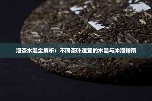 泡茶水溫全解析：不同茶葉適宜的水溫與沖泡指南