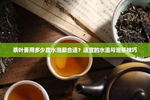 茶葉要用多少度水泡最合適？適宜的水溫與泡茶技巧