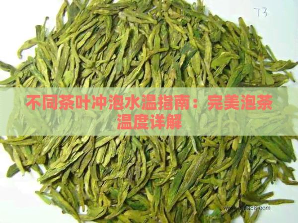 不同茶葉沖泡水溫指南：完美泡茶溫度詳解