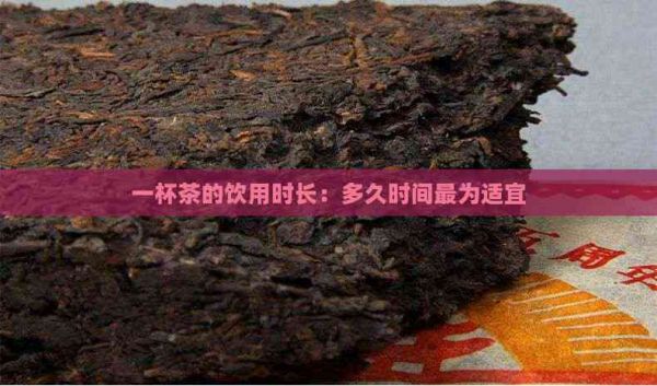 一杯茶的飲用時長：多久時間最為適宜