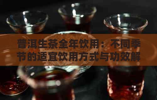 普洱生茶全年飲用：不同季節(jié)的適宜飲用方式與功效解析