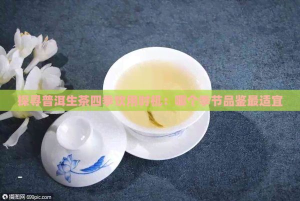 探尋普洱生茶四季飲用時機(jī)：哪個季節(jié)品鑒最適宜