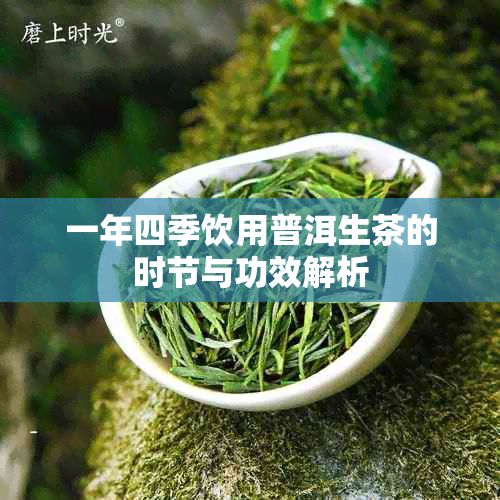 一年四季饮用普洱生茶的时节与功效解析
