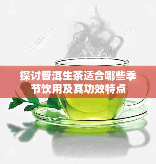 探讨普洱生茶适合哪些季节饮用及其功效特点