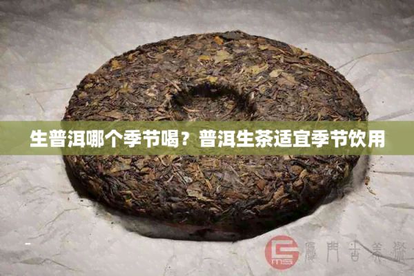 生普洱哪个季节喝?普洱生茶适宜季节饮用