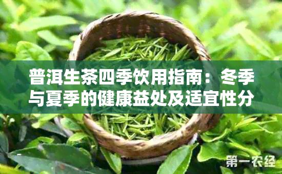 普洱生茶四季飲用指南：冬季與夏季的健康益處及適宜性分析