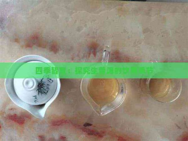 四季皆宜：探究生普洱的飲用季節(jié)