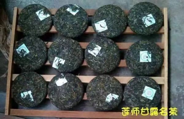 <a href=http://www.pinchajie.cn target=_blank class=infotextkey>普洱茶</a>適合什么季節(jié)_季節(jié)茶普洱適合什么<a href=http://www.pinchajie.cn target=_blank class=infotextkey>茶葉</a>_<a href=http://www.pinchajie.cn target=_blank class=infotextkey>普洱茶</a>季節(jié)