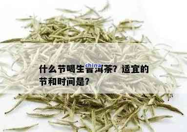 普洱茶生茶適合什么節(jié)喝