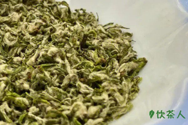 碧螺春新茶是什么季节,碧螺春什么季节出新茶(每年春季)