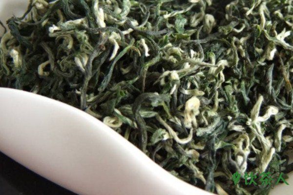 碧螺春新茶是什么季节,碧螺春什么季节出新茶(每年春季)